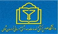 ارائه خدمات بهداشتی و درمانی در ۴۹ مرکزخدمات جامع سلامت  در ایام نوروز